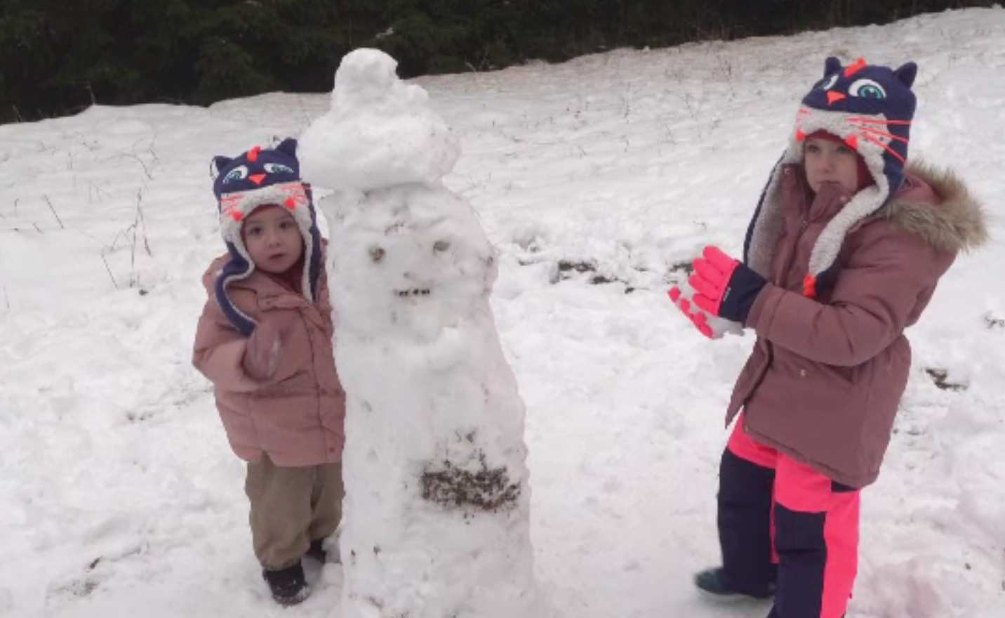 Ninsori și viscol în România. Locurile în care s-a depus strat de zăpadă. Când va ninge în București