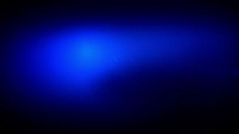 Știrile PROTV de la ora 19:00 - 12.11.2024