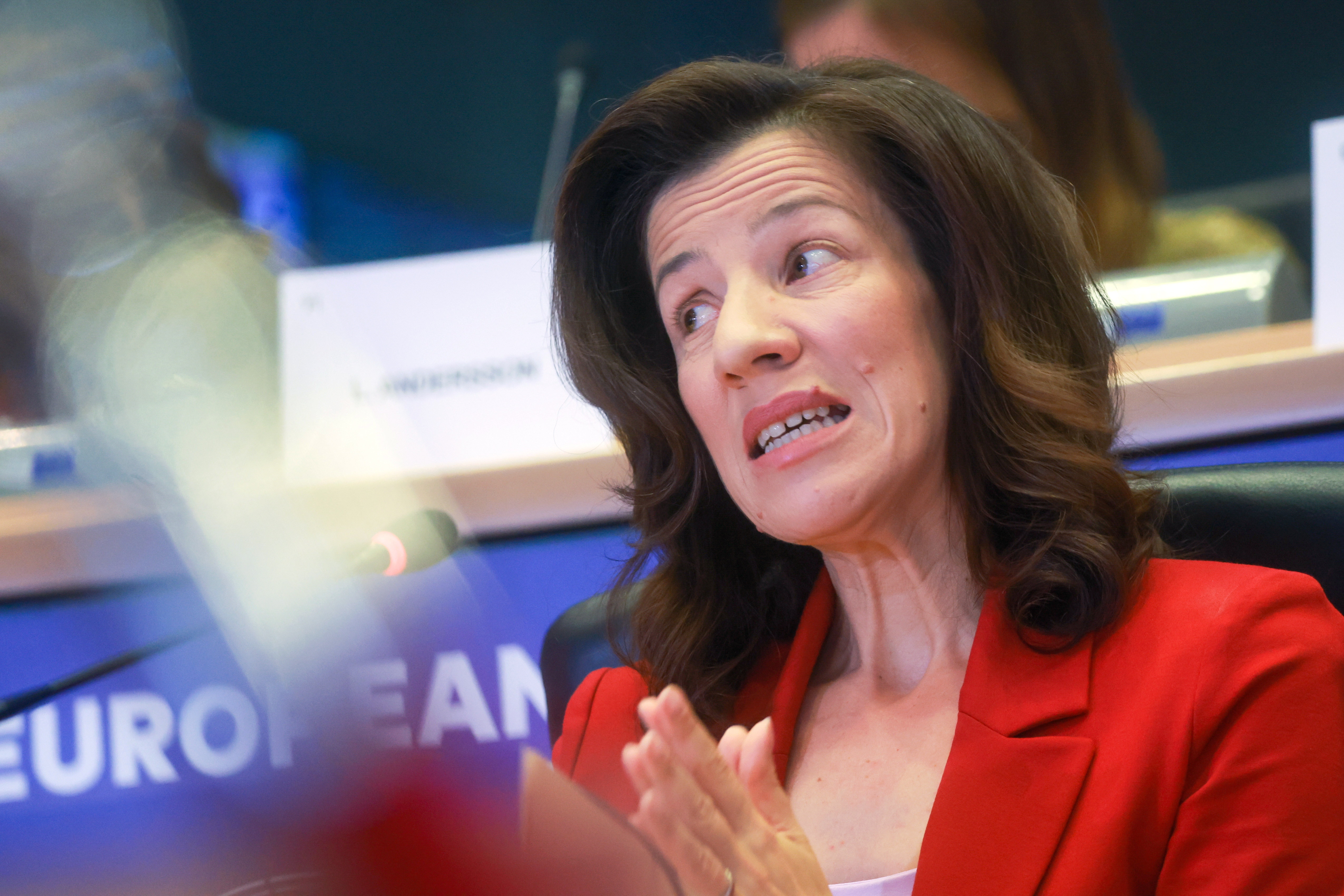 Parlamentul European a amânat verdictul după audierea Roxanei Mînzatu, candidatul României ca vicepreședinte al C.E.