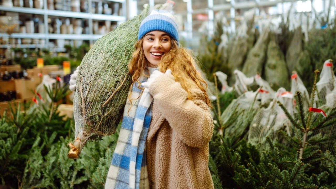 Romsilva scoate la vânzare tot mai puțini brazi de Crăciun de la an la an. Opțiunile către care se îndreaptă românii