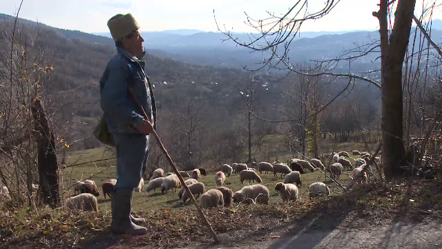 Domeniul în care e nevoie de 50.000 de oameni. Tot mai puțini români sunt interesați de el