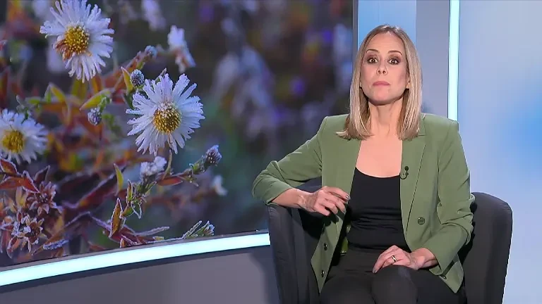 Singurătatea, mai periculoasă decât fumatul pentru pacienții cu diabet. Explicația surprinzătoare