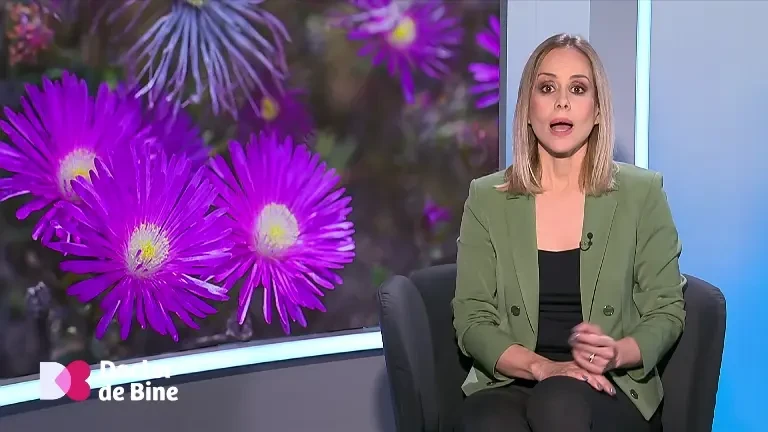 Legătura dintre dulciuri, grăsime, hipertensiune și rinichi. Analiza care trage semnalul de alarmă