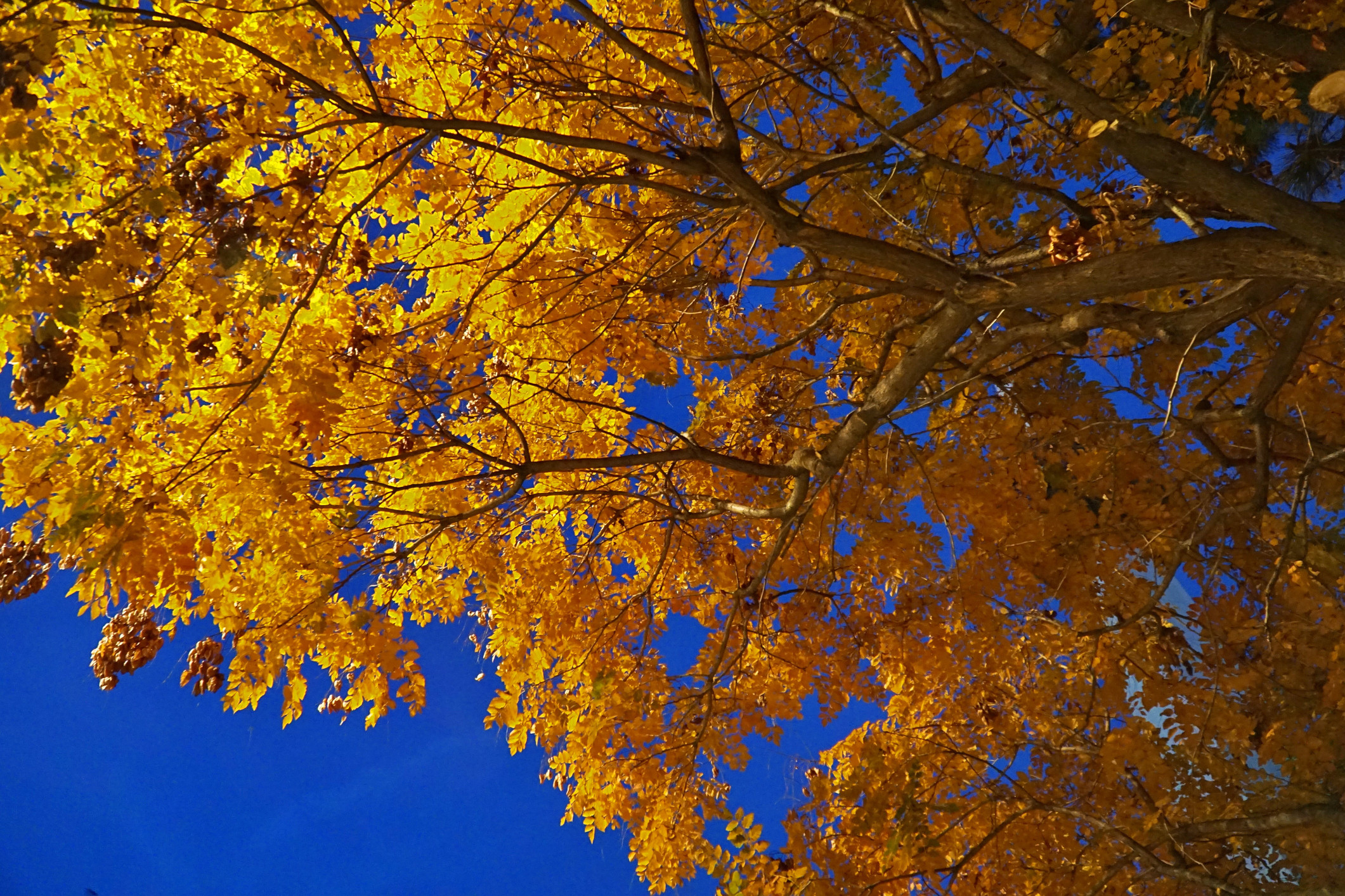 Vremea azi, 17 noiembrie. Se încălzește în majoritatea regiunilor țării. Care vor fi maximele termice