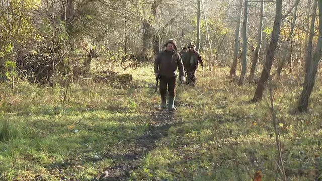 Specia fără prădător natural din Delta Dunării care a scăpat de sub controlul autorităților. Sute de exemplare vor fi vânate