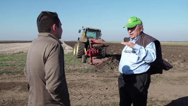 Criza fermelor din România. Seceta a dus la peste 120 de insolvențe în nouă luni și pierderi masive pentru agricultori