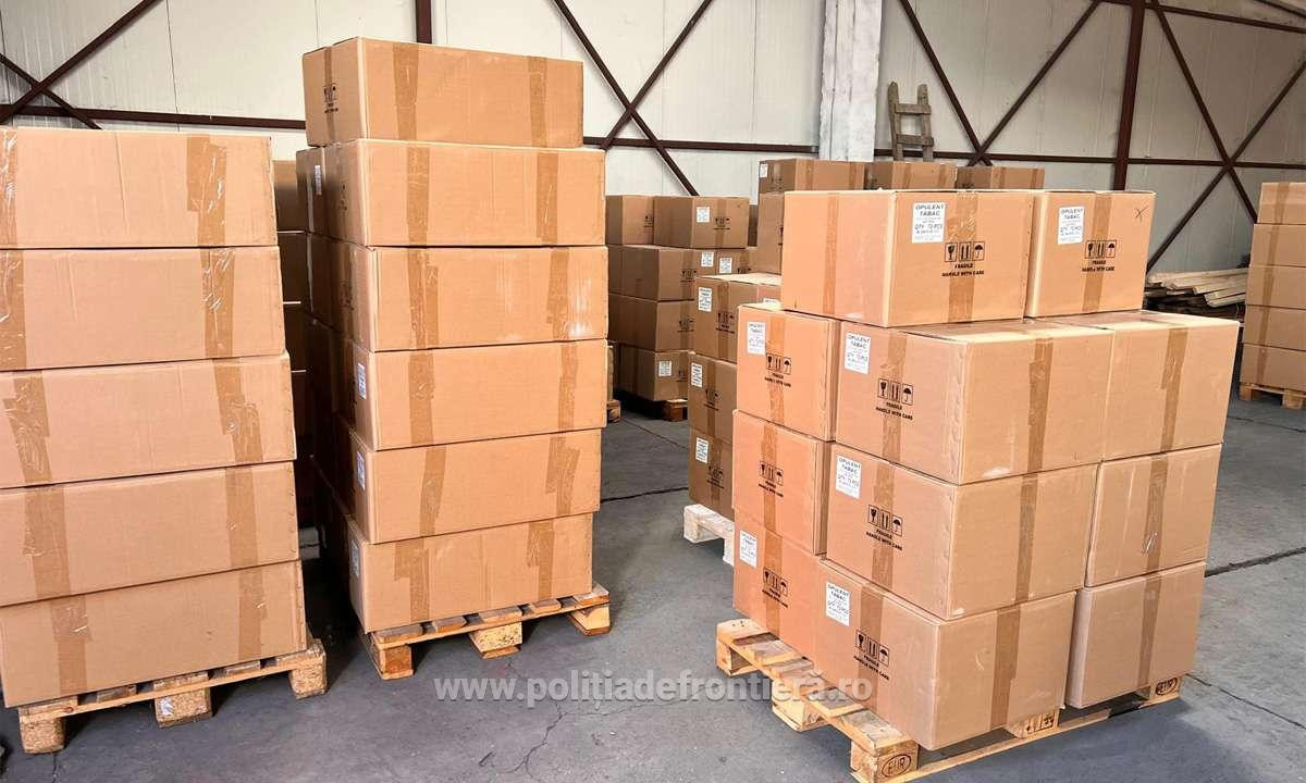 Descoperire de 12,5 milioane lei în Portul Constanţa. Ce au găsit polițiștii într-un container. FOTO