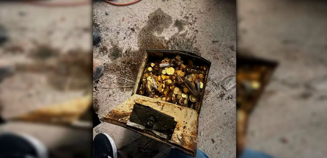 Ce a descoperit un instalator care făcea reparații într-o vilă din Viena. „Este cu adevărat incredibil”