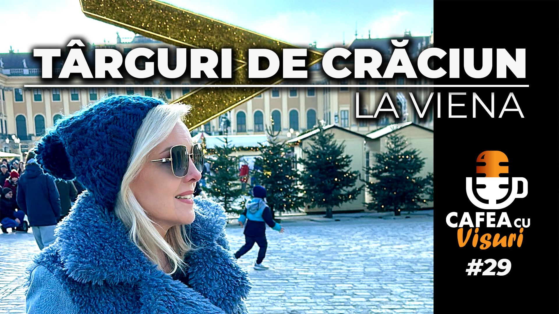 Viena, capitala târgurilor de Crăciun