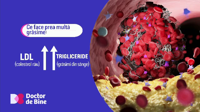 Legătura nebănuită dintre mișcare, „uzina” organismului și colesterolul „bun”. „Arată clar ce valoare au exercițiile fizice”