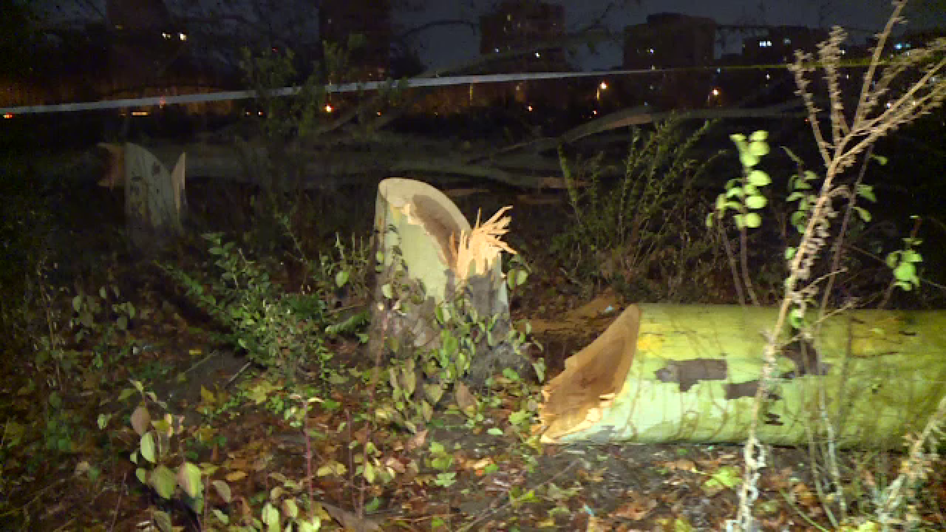 Un bărbat a fost agresat, după ce a surprins doi indivizi că tăiau copaci din zona retrocedată a parcului IOR