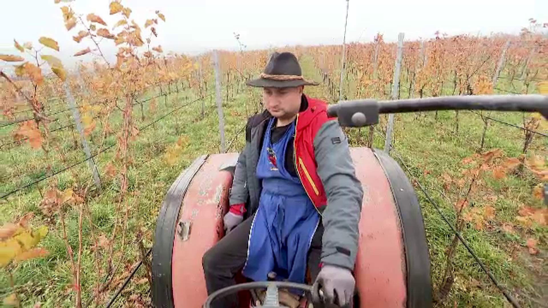 O familie din Botoșani a pus satul Frumușica pe harta viticolă a țării. Ioana și Sebastian au ridicat standardele în domeniu