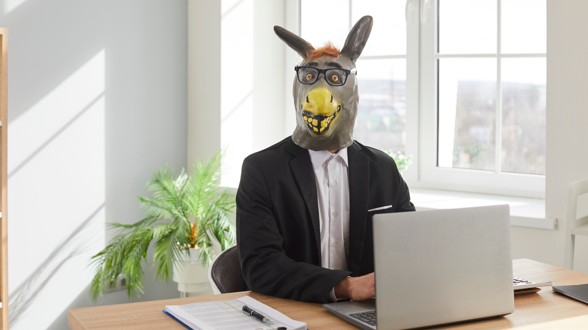 Oamenii devin din ce în ce mai proști cu timpul. Concluziile deloc măgulitoare ale unui studiu