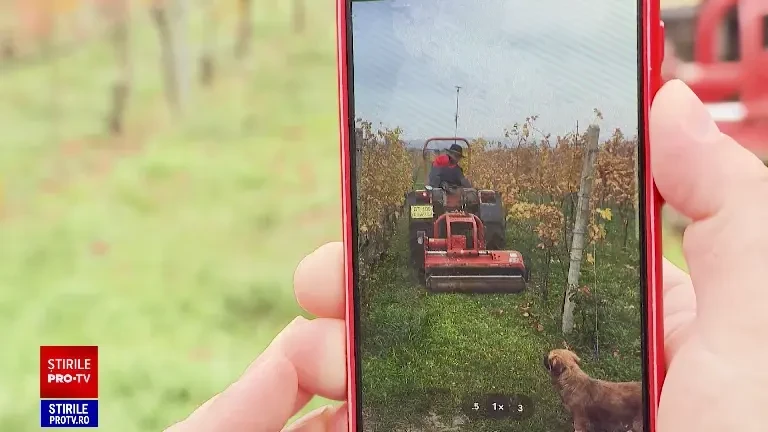 O familie din Botoșani a pus satul Frumușica pe harta viticolă a țării. Au reușit să ridice standardele în producția de vin