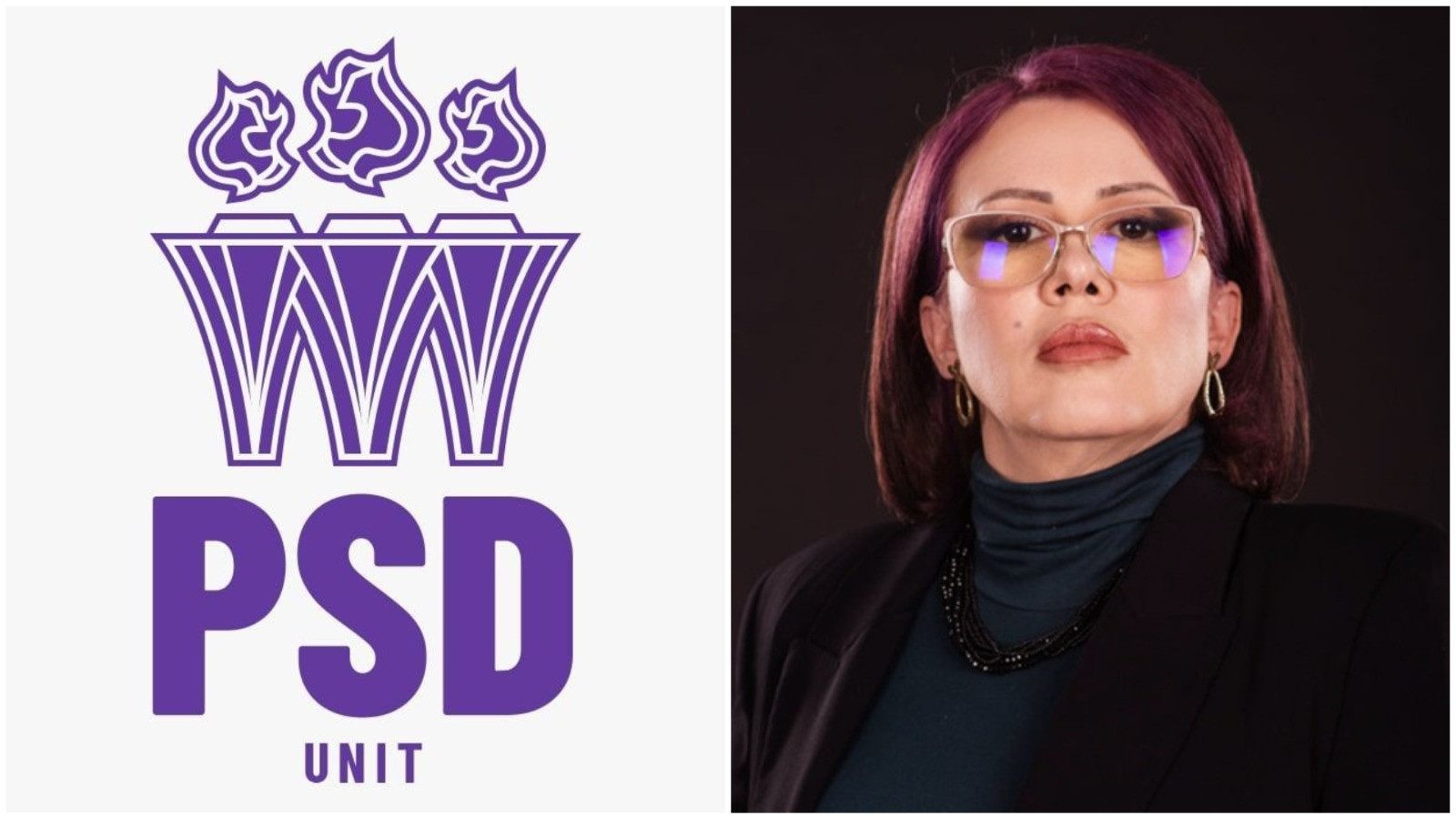 Cine este PSDU, partidul care a „furat” din voturile PSD la alegerile parlamentare