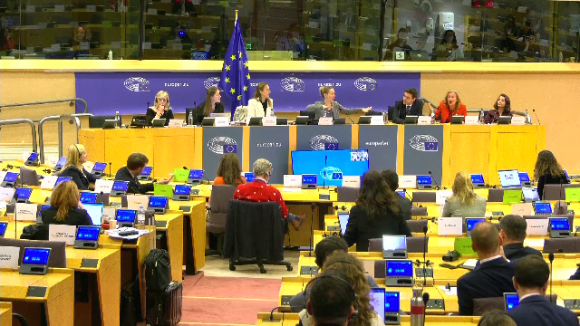 Reprezentanții TikTok au dat răspunsuri evazive în Parlamentul European la acuzația de influențare a alegerilor din România