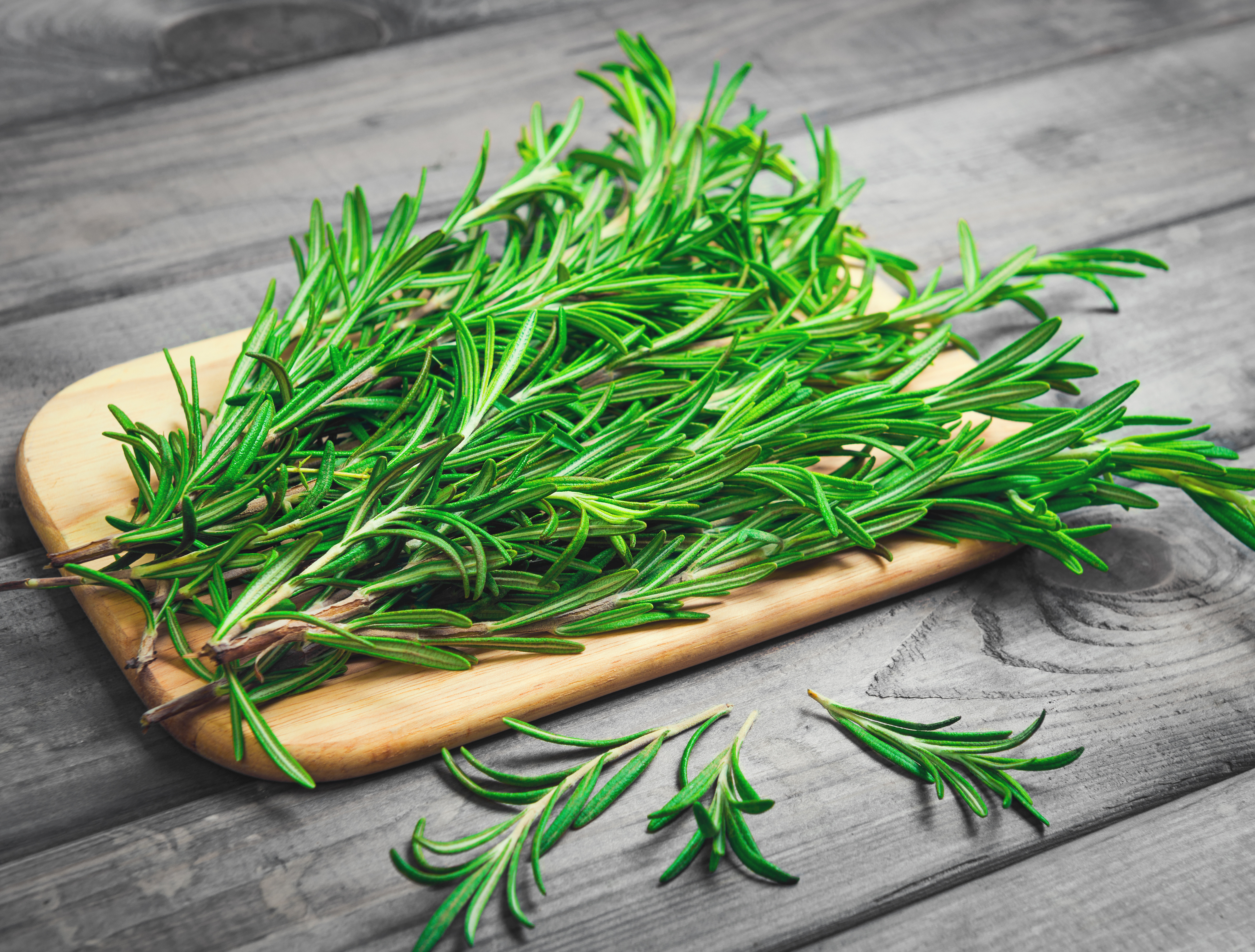 De ce să pui o crenguță de rozmarin pe calorifer, în perioada iernii. Trucul de care nu știai