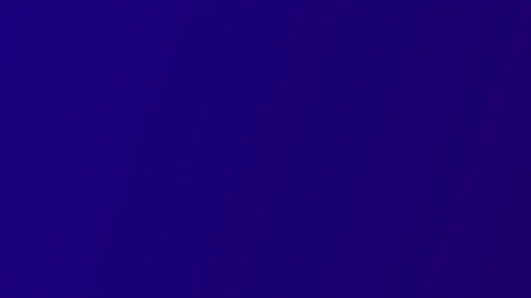 Cum să folosești algoritmii și social media pentru succesul unui magazin online