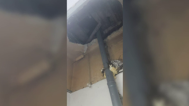 Tavanul unei băi s-a prăbușit la maternitatea din Timișoara. Unitatea sanitară nu mai face internări
