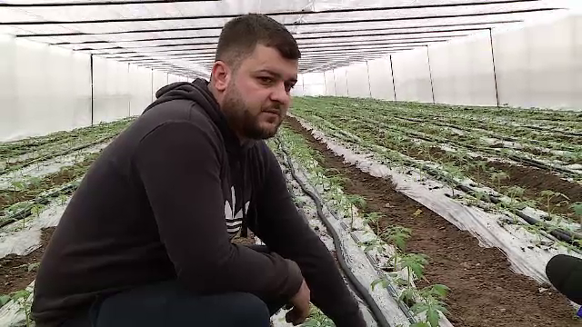 Vom avea legume românești în piețe încă din februarie. Cât va costa un kilogram de roșii: ”Am vrea să scăpăm de importuri”