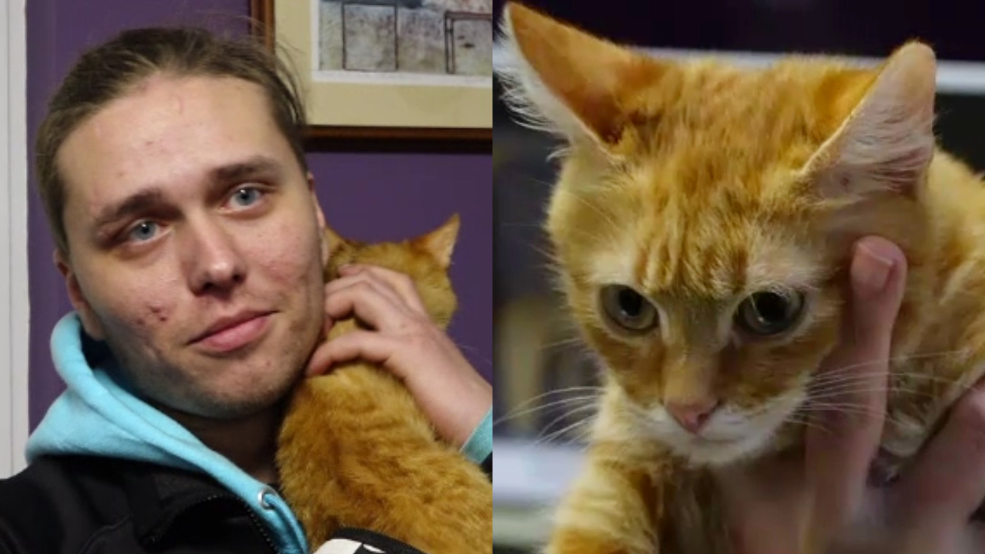 Fugarul ucrainean care căzuse într-o râpă în Munții Maramureșului a povestit cum a fost ținut în viață de pisica lui, Persik