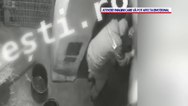 VIDEO. Angajatul de la ZOO Pitești s-a luptat cu tigrul, dar a fost sfâșiat mortal. O greșeală banală l-a costat viața