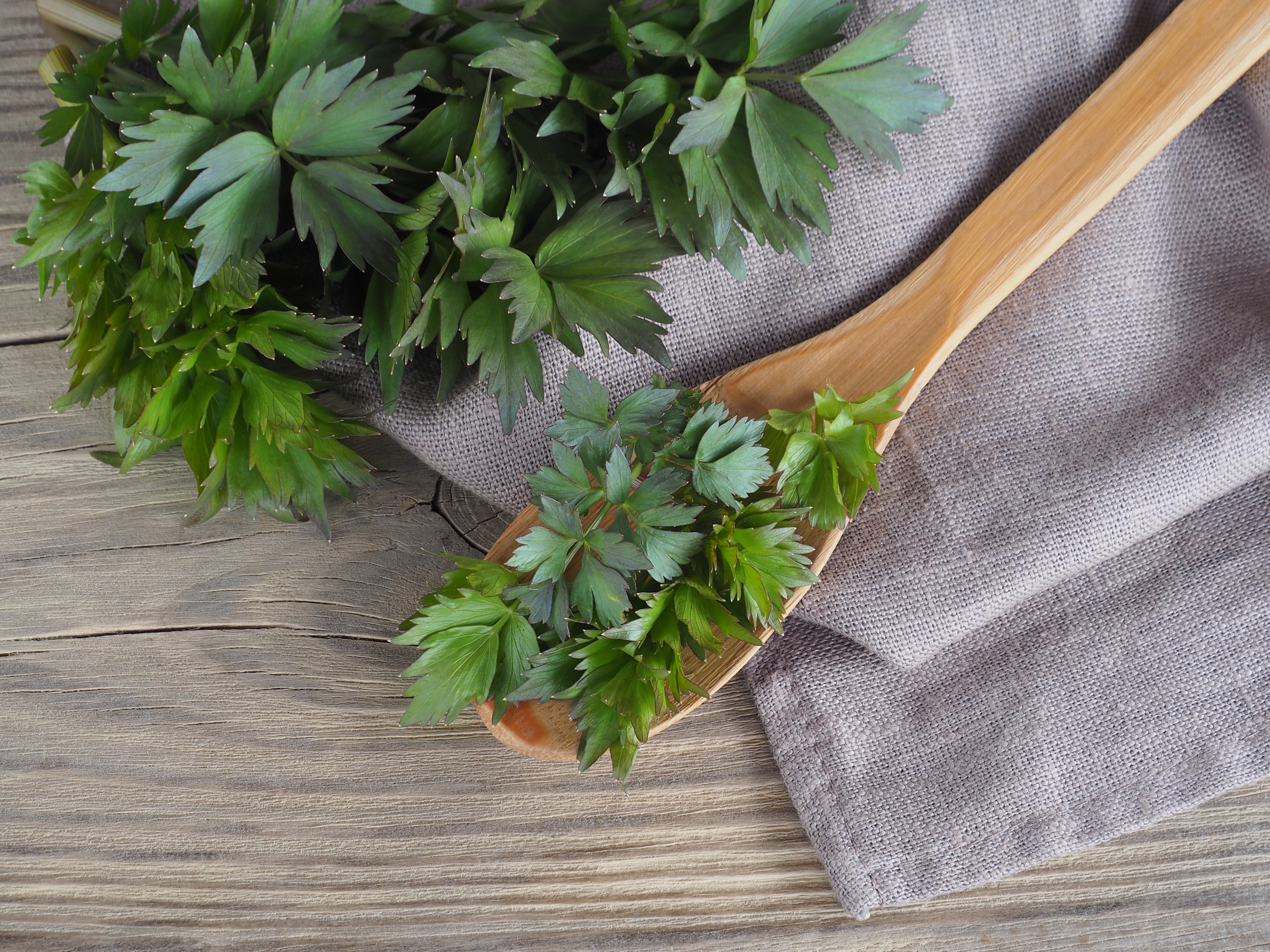 Leuștean - beneficii pentru sănătate și contraindicații. Ce trebuie să știi despre proprietățile sale