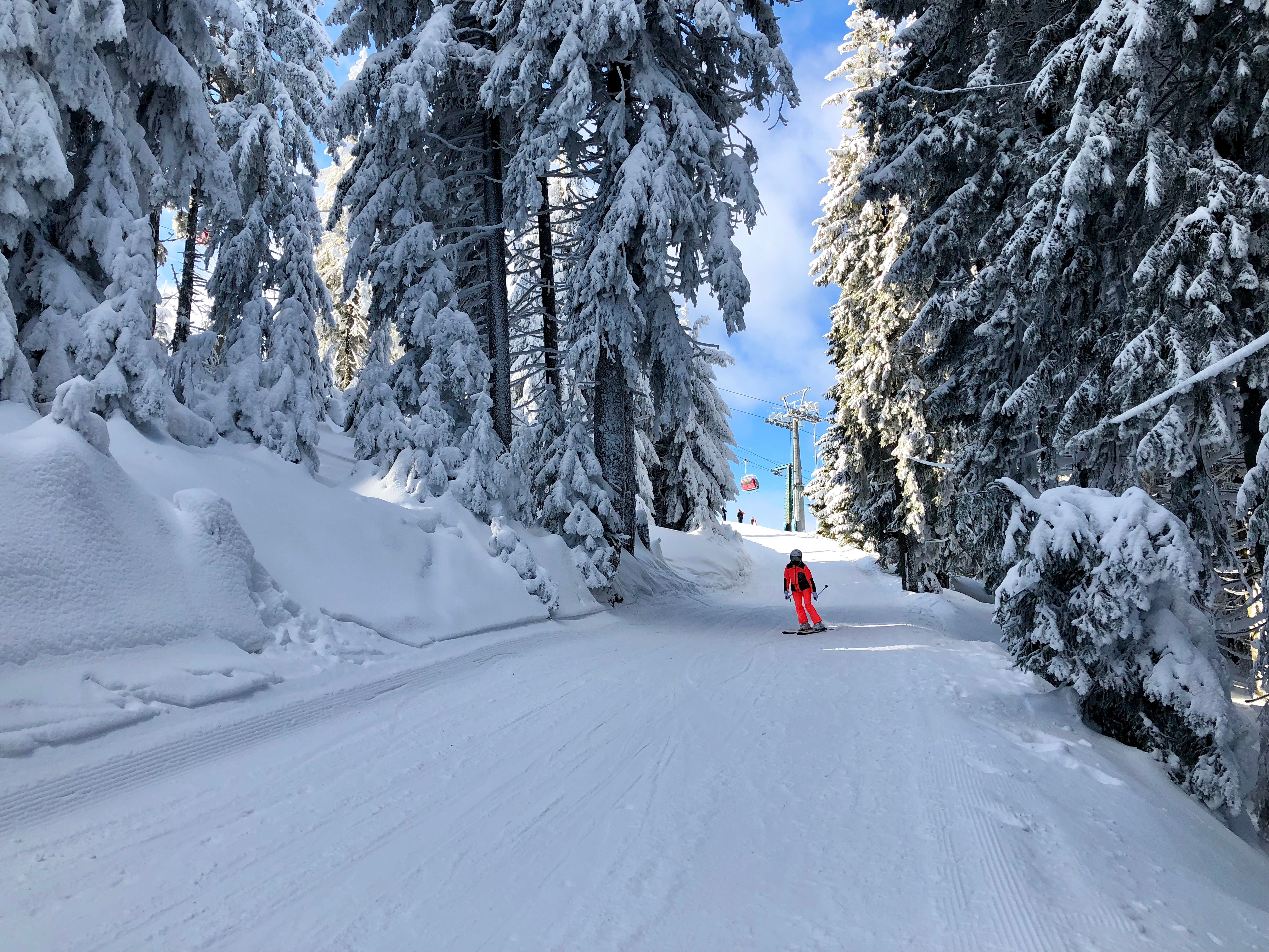 Stațiunea Straja, raiul iubitorilor de schi. Ce activități poți face și cât costă o vacanță aici