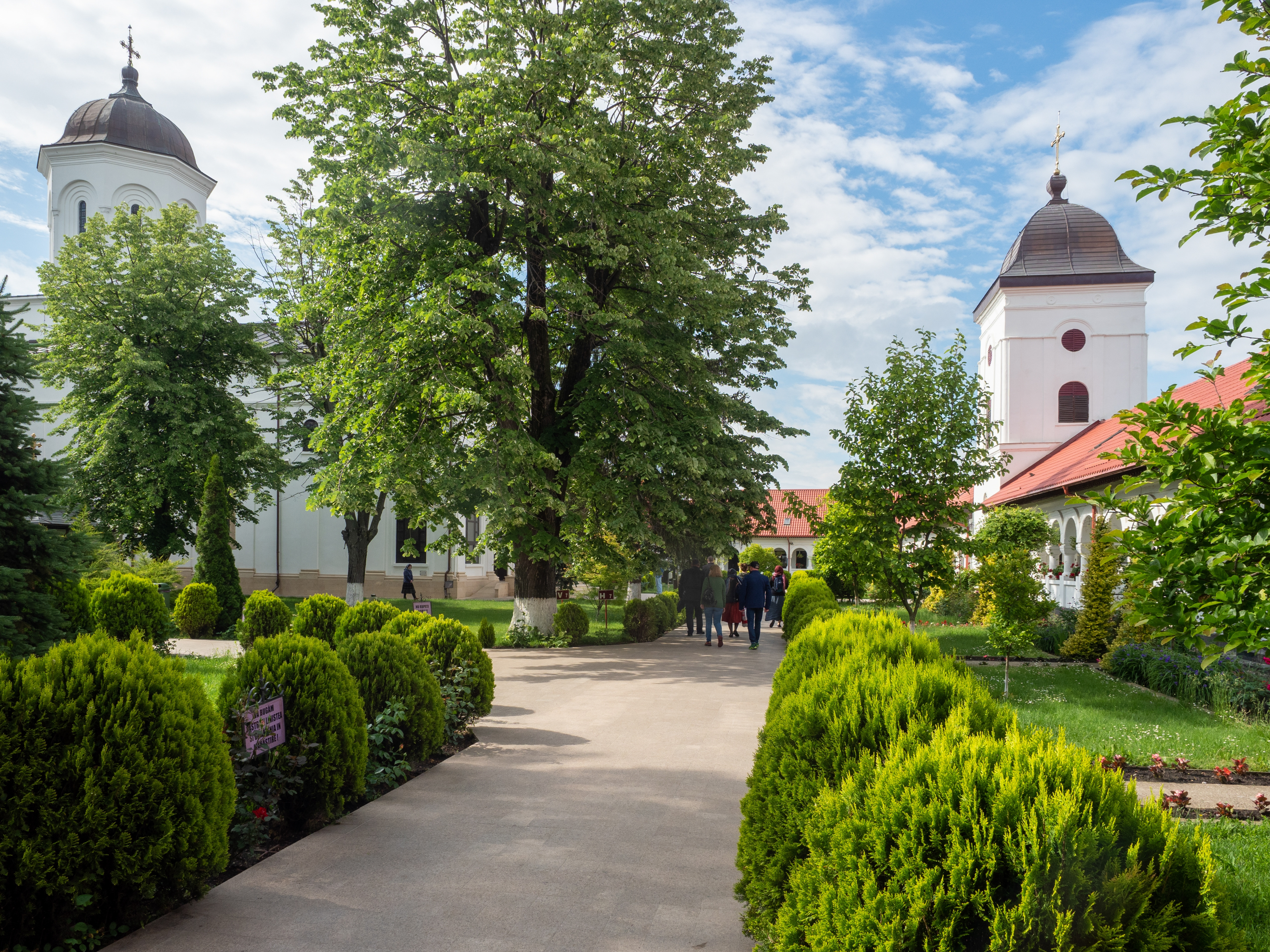 Mănăstirea Ghighiu – istoric, legende. Povestea celebrei icoane a Maicii Domnului din Siria