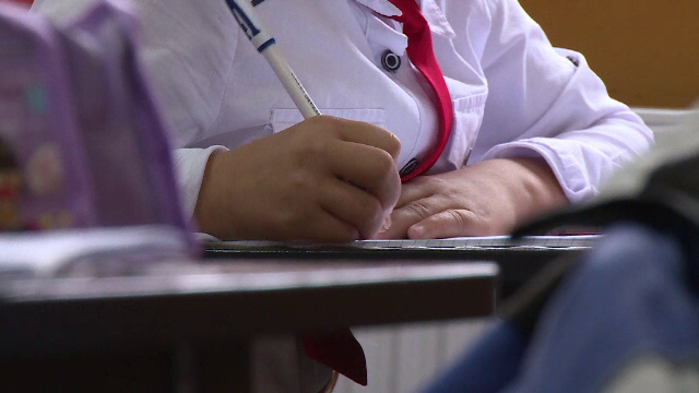Doi ani de studiu într-unul singur. Ce reprezintă propunerea educațională și ce elevi se încadrează