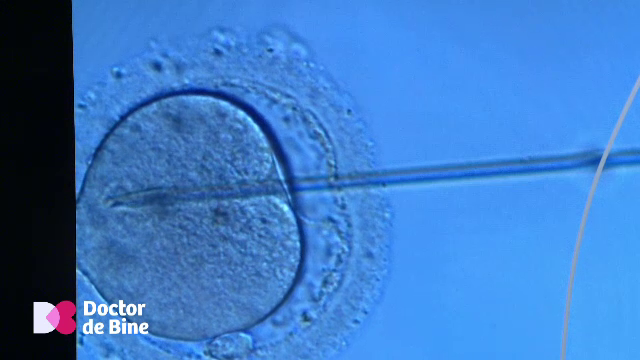 Care e principala temere a femeilor care apelează la stimularea ovariană ca să aibă o sarcină