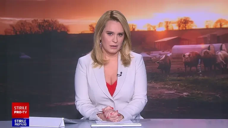 Culmea legii. Acuzat pentru trafic de persoane și arestat, primarul din Crevedia trebuie să avizeze sacrificarea porcilor săi