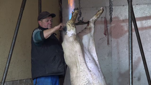 Când se taie porcul, de fapt. Puțini români mai respectă tradiția