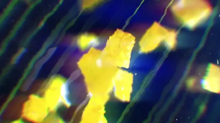 Blon Z – Episodul 18: Știri pe bune în stilul GenZ