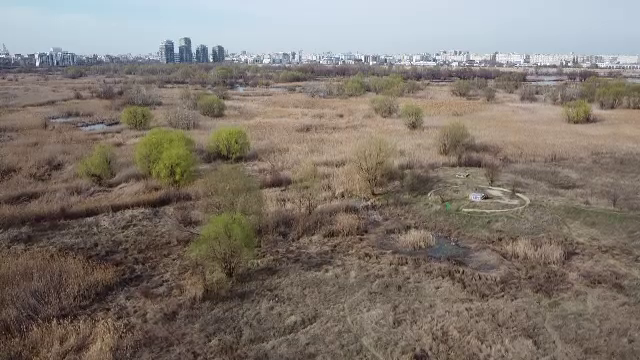 Autoritățile pun camere cu termoviziune în Parcul Văcărești pentru detectarea incendiilor. „Acționează în orice condiții”