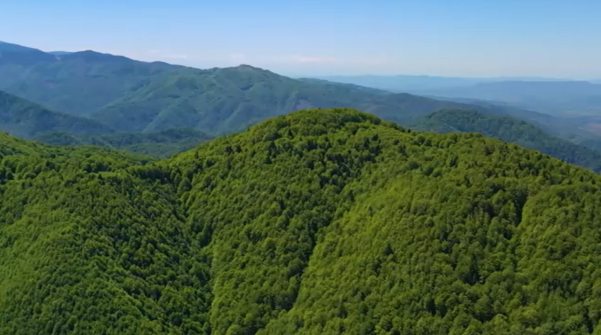 Plan întocmit pentru ca Parcul Natural Apuseni să își păstreze frumusețile. Decizia autorităților locale