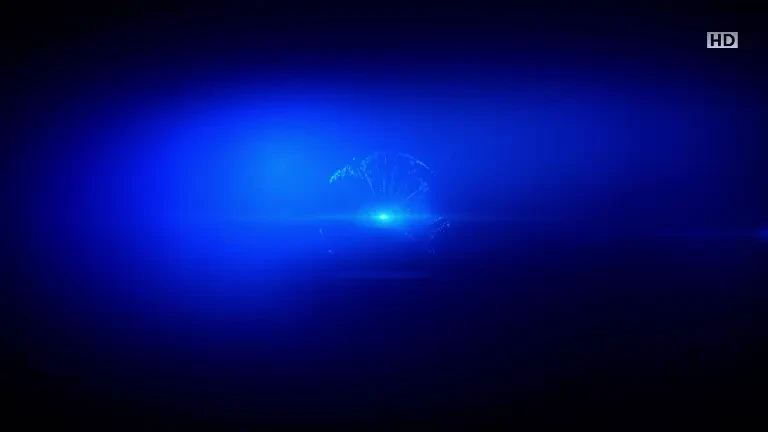 Știrile ProTV de la ora 17:00 - 19.12.2024