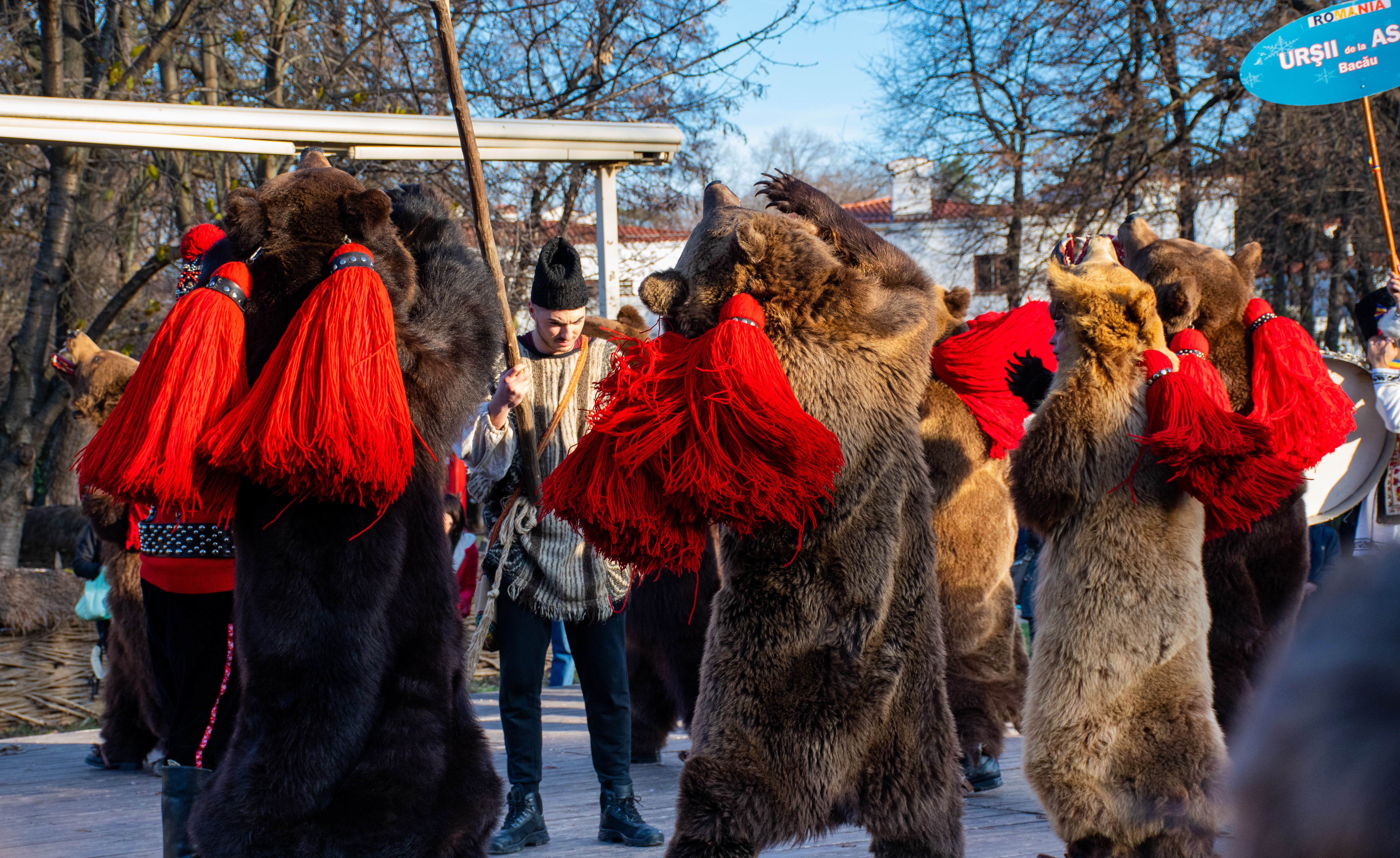 Când se merge cu Ursul - versuri și semnificația acestui obicei. Ce spune tradiția