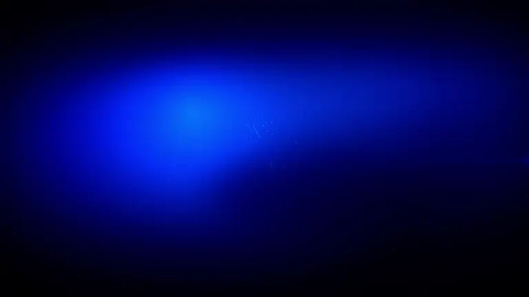 Știrile ProTV de la ora 19:00 - 20.12.2024