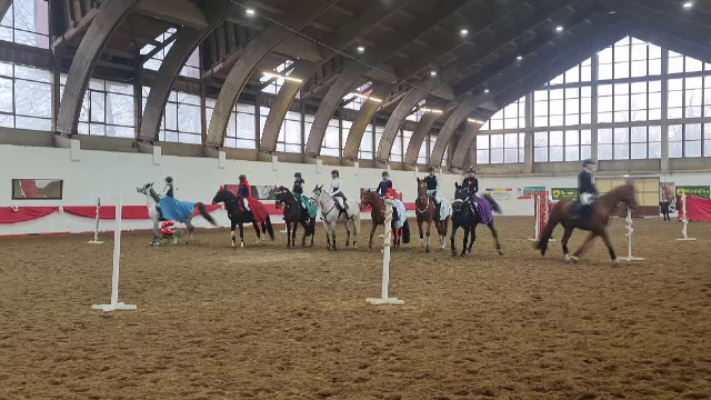 Faimoșii cai lipițani ai României, a căror creștere este înscrisă în patrimoniul UNESCO, au făcut din nou spectacol