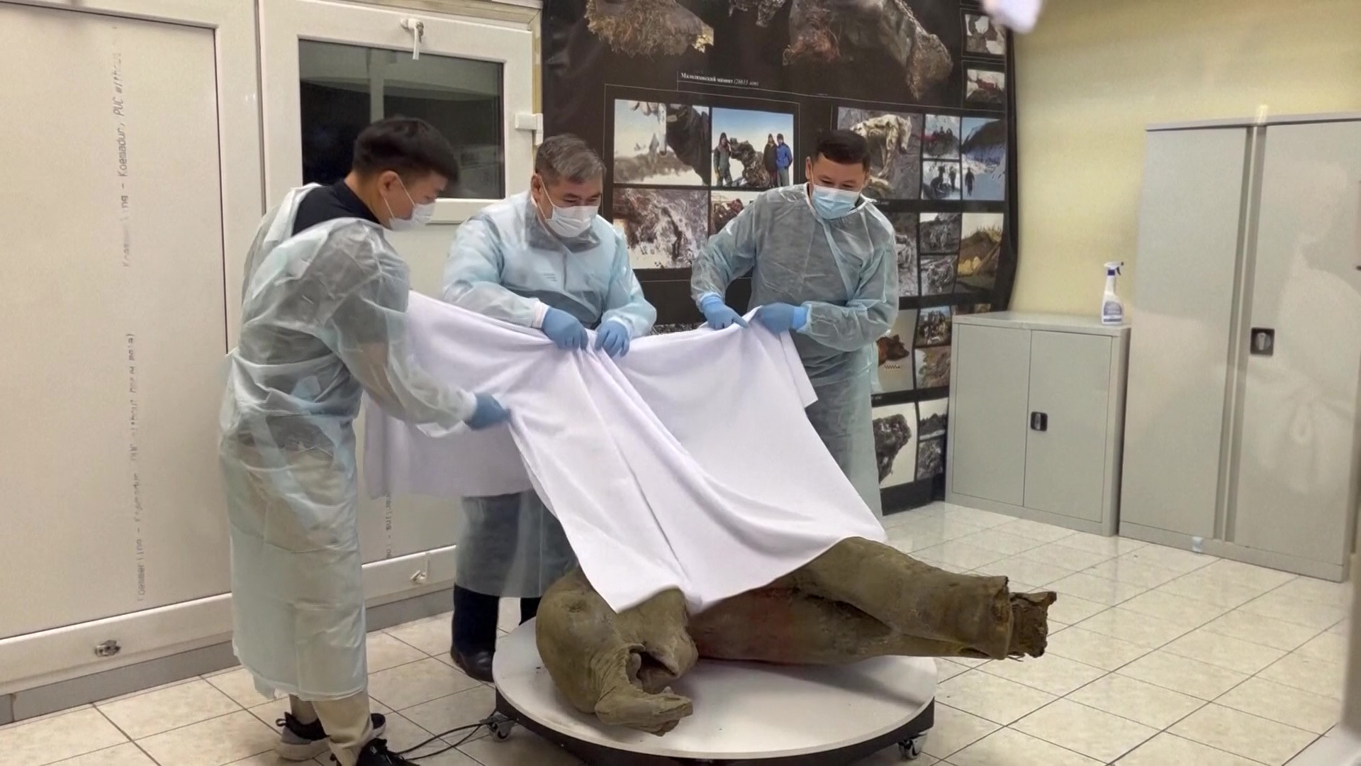 VIDEO. Imagini uimitoare în Rusia. Această ființă a trăit acum 50.000 de ani. A fost găsită în ”poarta către lumea subterană”