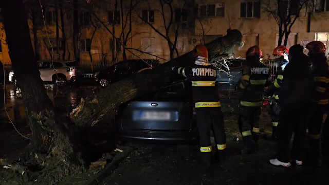 Furtuna din București a doborât zeci de copaci în câteva ore. Scăpăm de ploi după Crăciun