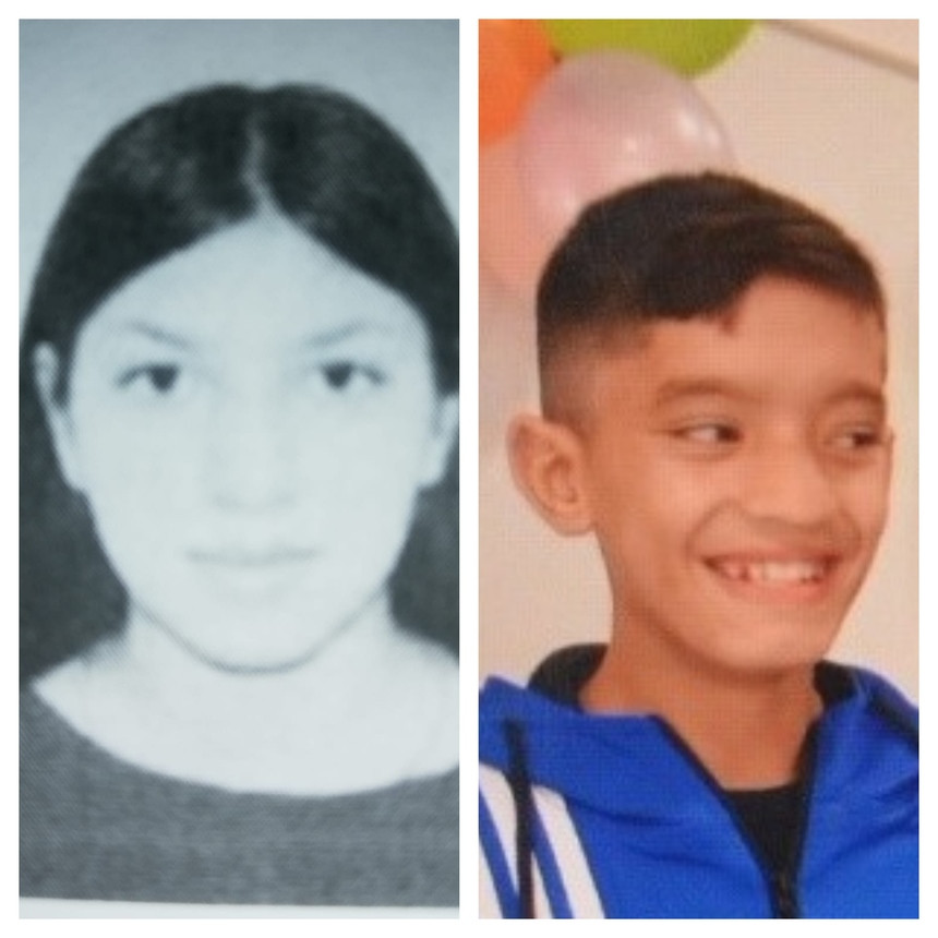 Doi copii din Satu Mare și Sibiu au fost dați dispăruți. Poliția cere ajutorul pentru a-i găsi