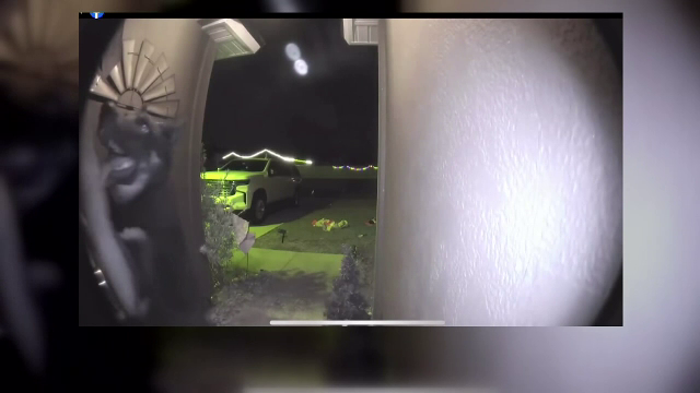 Momentul în care un câine dispărut de nouă zile sună la soneria casei | VIDEO