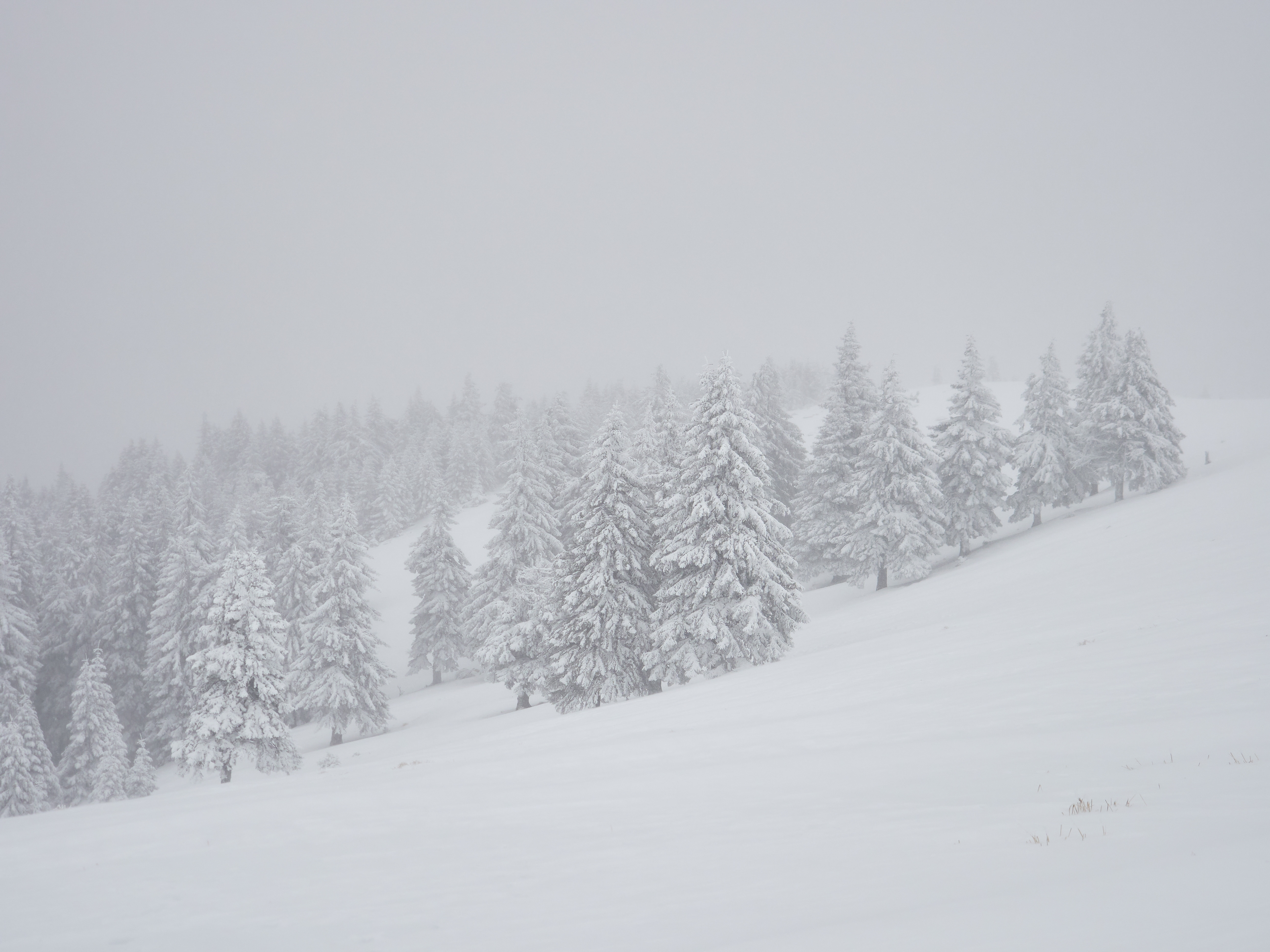 Vremea azi, 8 aprilie. Ger și viscol în mai multe în mare parte din țară. Unde vor fi 11 grade
