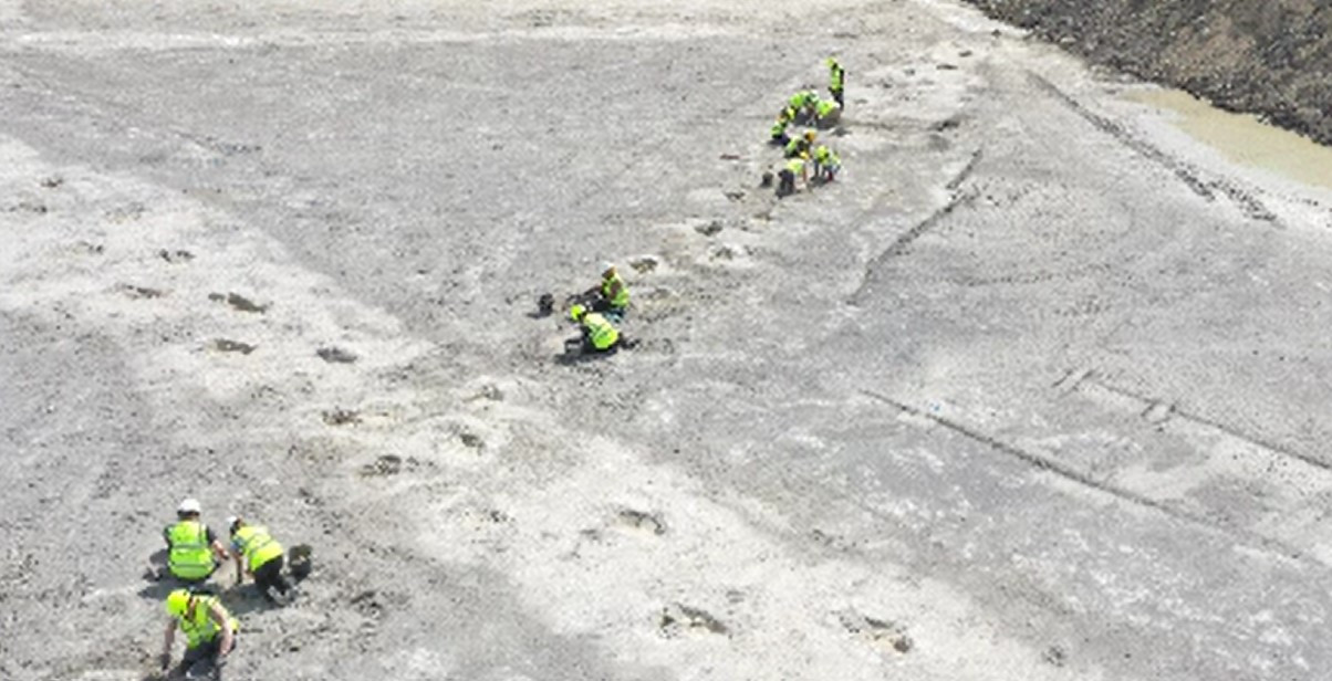 Urme mari de dinozauri, descoperite într-o carieră din Marea Britanie. Ce cred cercetătorii