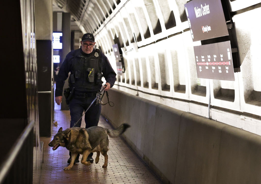 Alertă maximă în SUA după atacurile din primele zile ale anului 2025. Ianuarie, o lună plină de evenimente importante