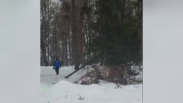 Pentru ce au primit amendă de la jandarmi patru turiști dornici de adrenalină, în Munții Gutâi