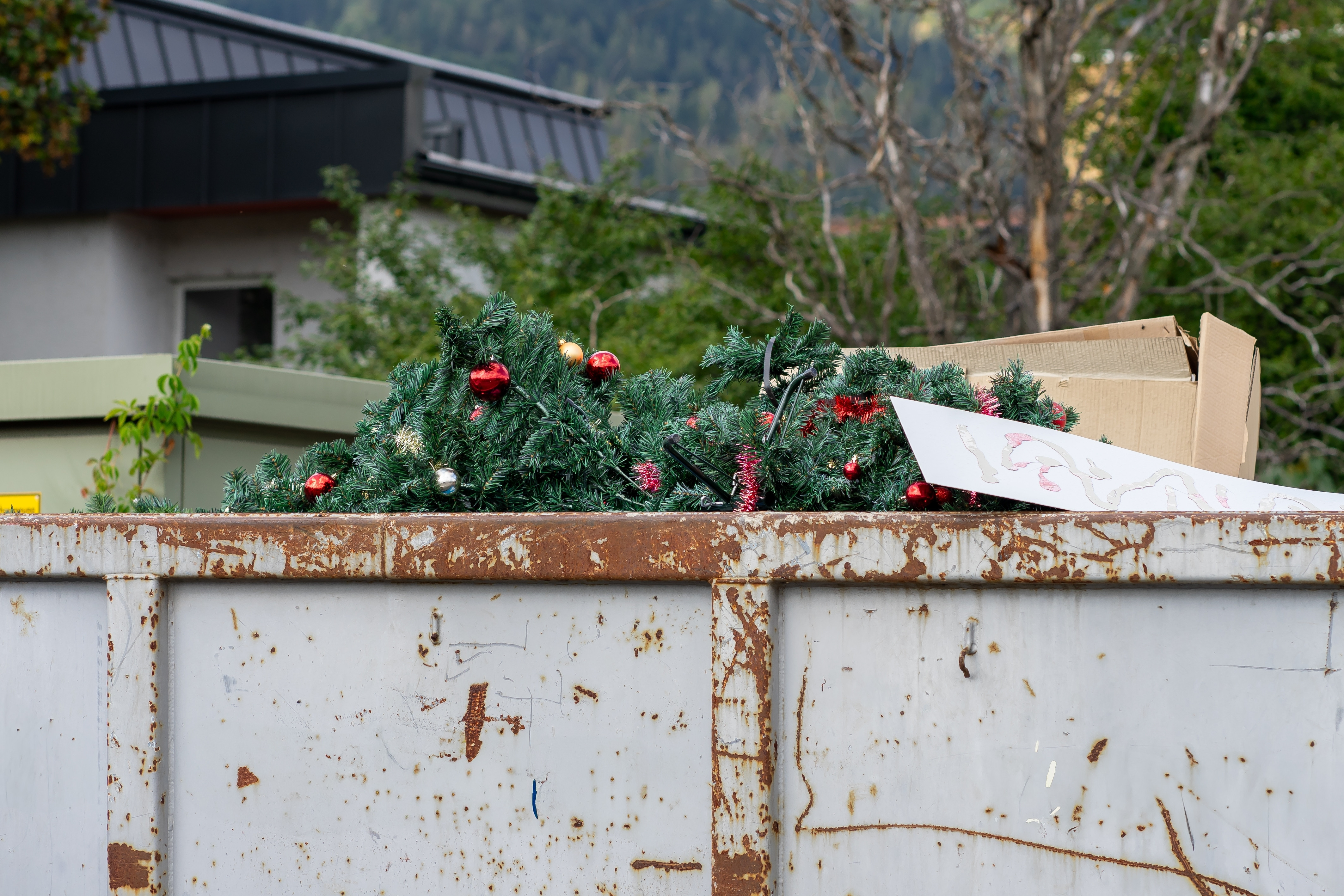 O bătrână din Germania a rănit o vecină aruncând bradul de Crăciun de la balcon. Femeia a suferit o fractură la braț