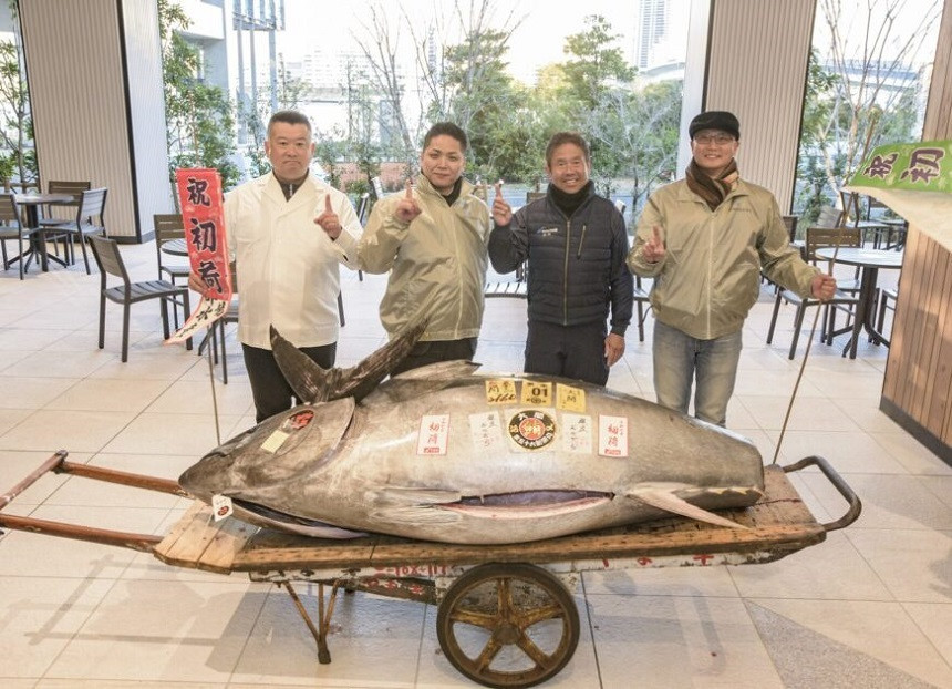 Un ton roşu de 212 kilograme s-a vândut în cadrul unei licitaţii desfăşurată la Tokyo. Suma incredibilă cu care s-a vândut